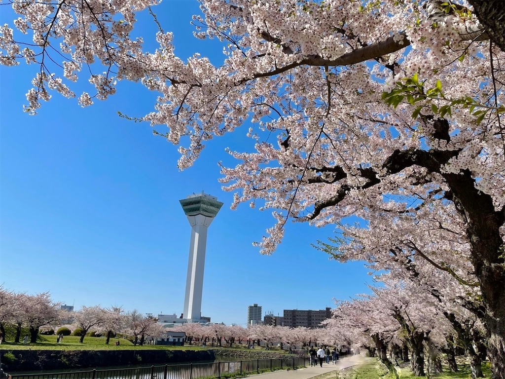 f:id:sapporo_naki:20230429100433j:image f:id:sapporo_naki:20230429100433j:image