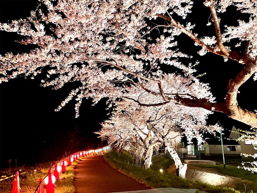 f:id:sapporo_naki:20230429100456j:image f:id:sapporo_naki:20230429100456j:image