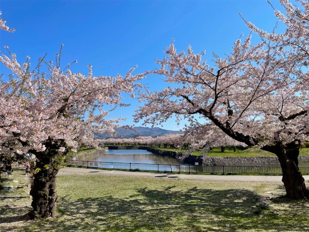 f:id:sapporo_naki:20230429151548j:image f:id:sapporo_naki:20230429151548j:image