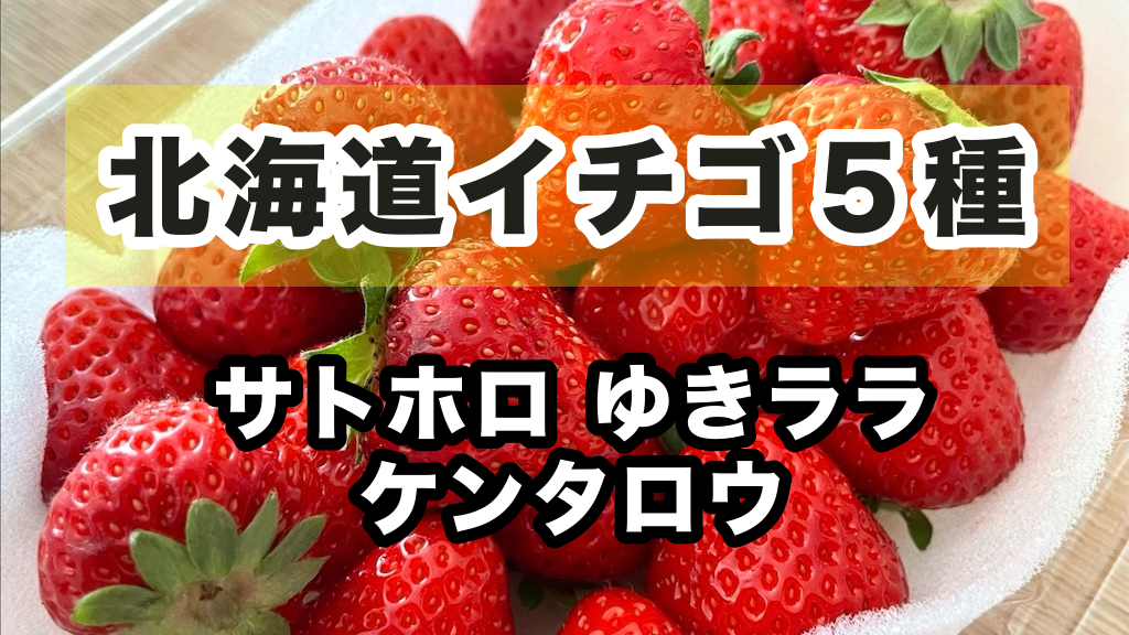 北海道イチゴ5種食べ比べ！幻のサトホロに新種ゆきララ - 北海道レポ
