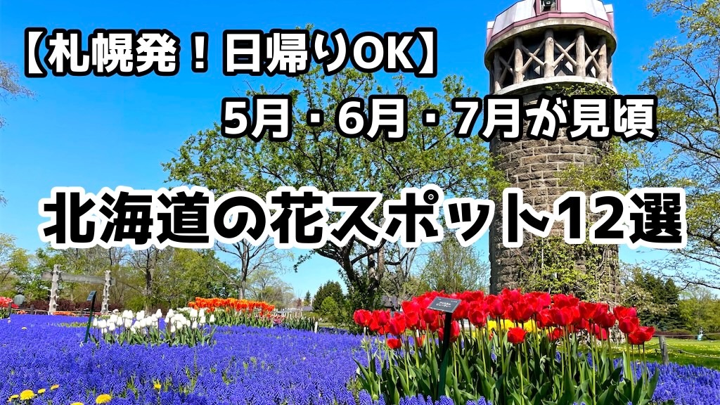 f:id:sapporo_naki:20250719111137j:image f:id:sapporo_naki:20250719111137j:image