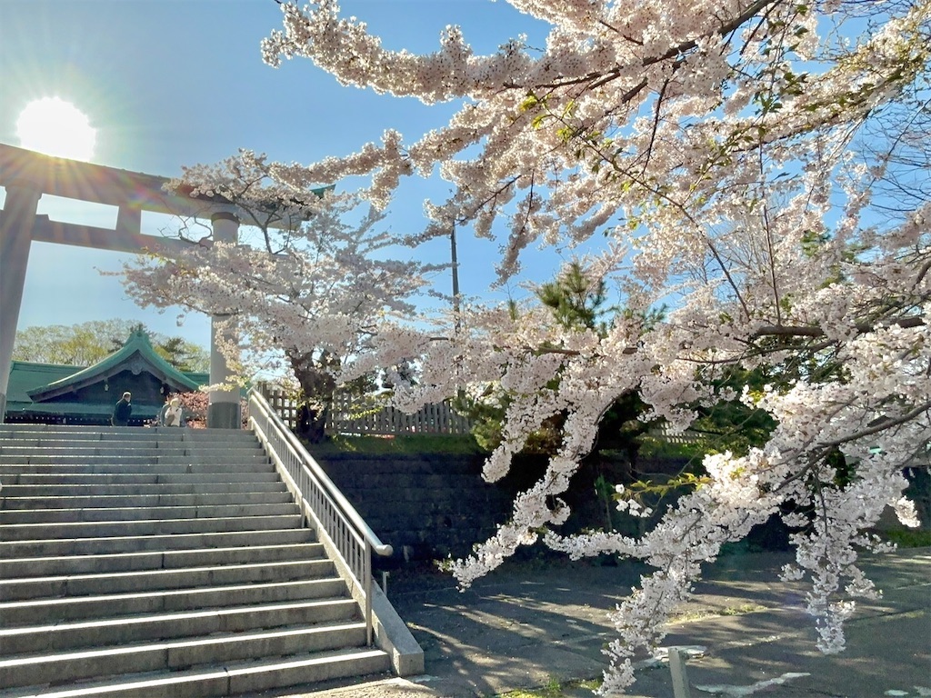 f:id:sapporo_naki:20260403230833j:image