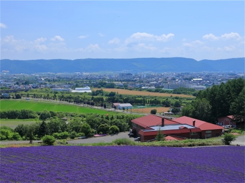 f:id:sapporo_naki:20260604130104j:image