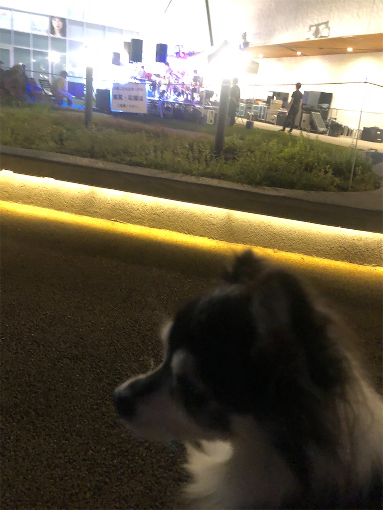 f:id:sapporo_wan:20211003195300j:image f:id:sapporo_wan:20211003195300j:image