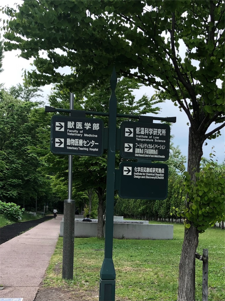f:id:sapporo_wan:20240619185758j:image