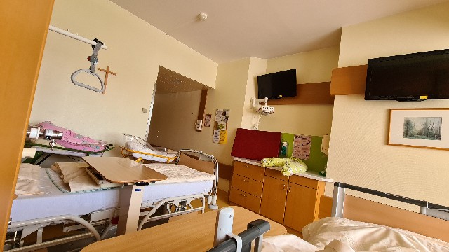 f:id:sara0610:20240817175031j:image