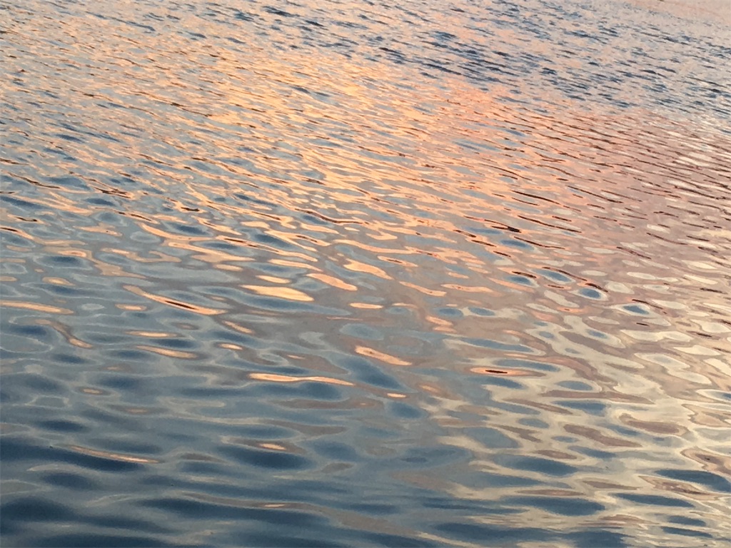 f:id:sara_y:20190726102222j:image