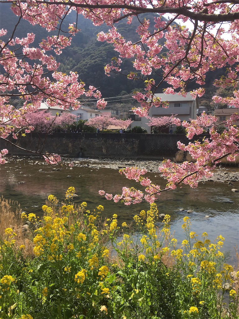 f:id:sara_y:20190726102246j:image