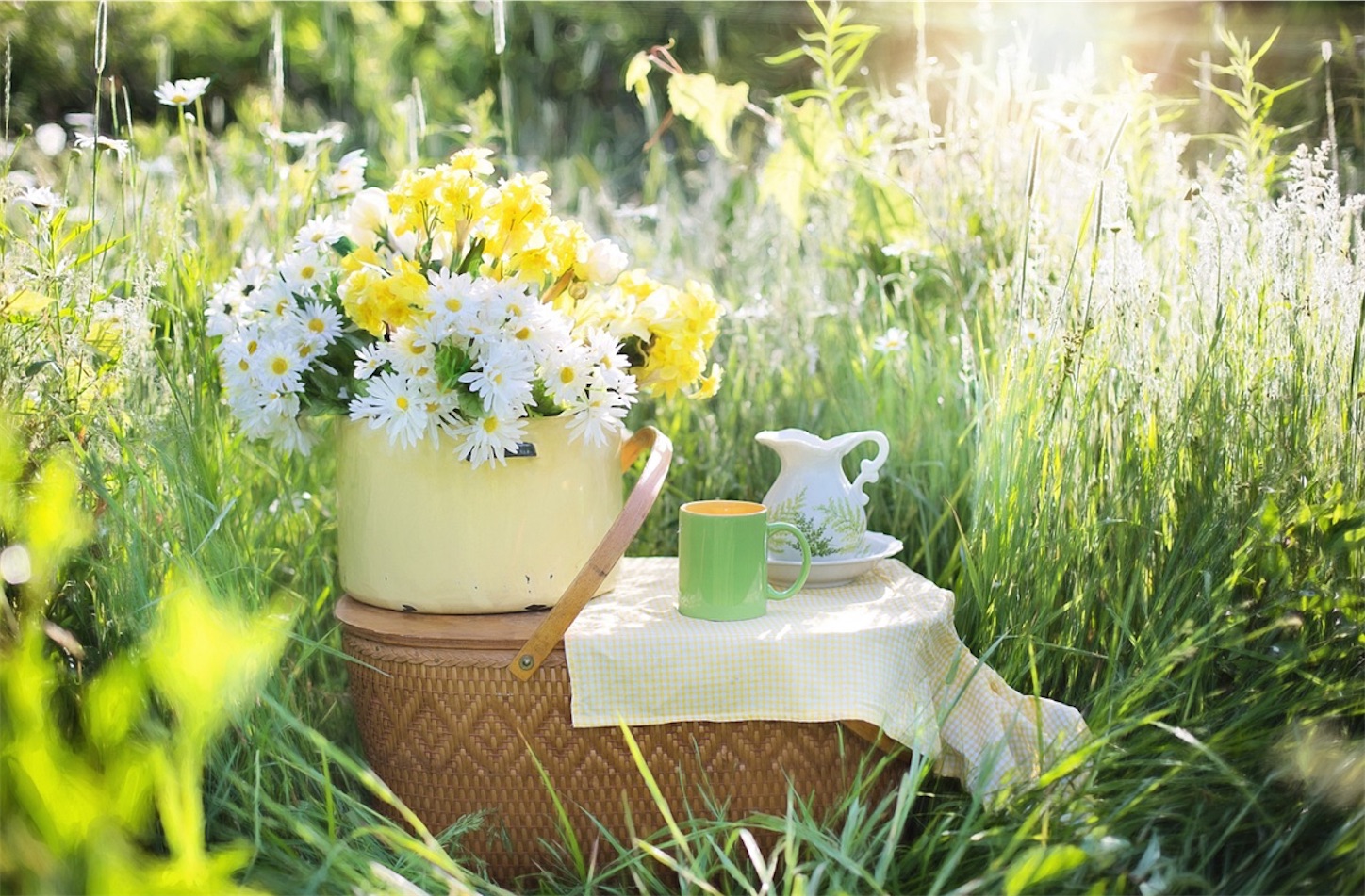 f:id:sarabookcafe:20240820134328j:image f:id:sarabookcafe:20240820134328j:image