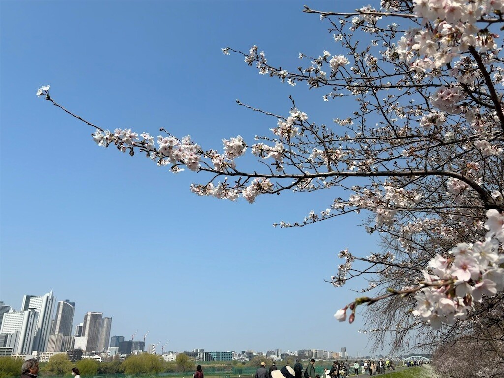 f:id:sarahqee:20260329193337j:image