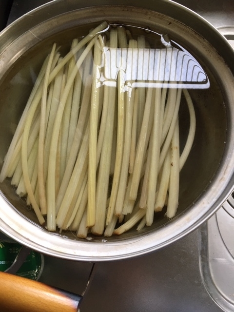 f:id:sarahrah2019:20200603110702j:plain