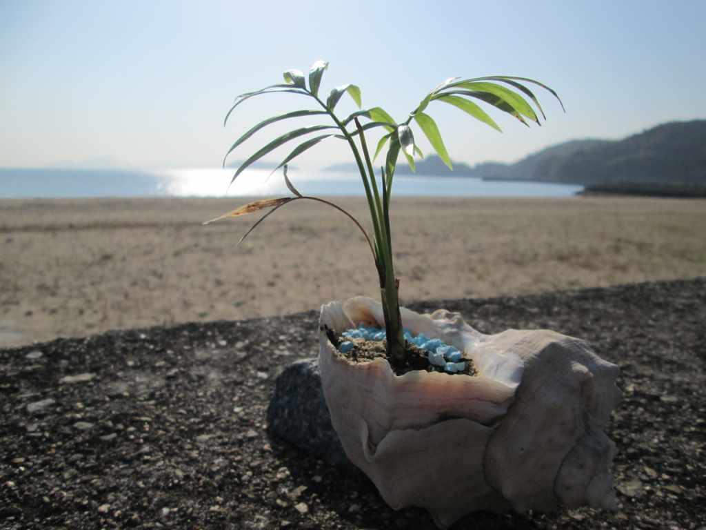 f:id:sarai-kitagiisland:20160427073049j:plain f:id:sarai-kitagiisland:20160427073049j:plain