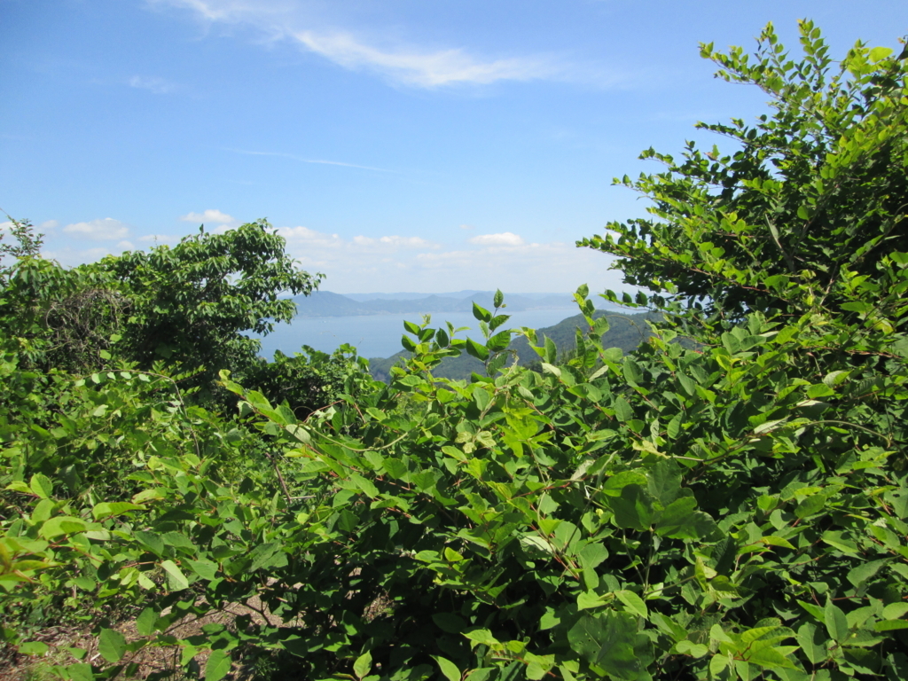 f:id:sarai-kitagiisland:20160612102143j:plain f:id:sarai-kitagiisland:20160612102143j:plain