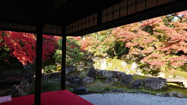 f:id:saraly-man:20191123191127j:image