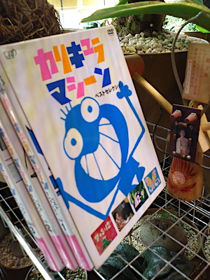 f:id:saran-p:20210129210519j:plain