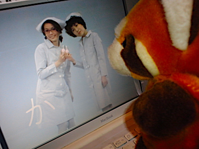 f:id:saran-p:20210129223952j:plain