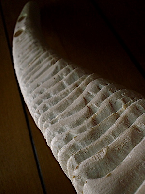 f:id:saran-p:20210129232657j:plain