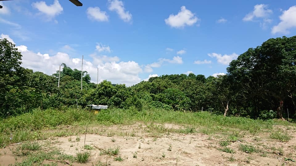 f:id:saranoki12:20190630223515j:plain f:id:saranoki12:20190630223515j:plain