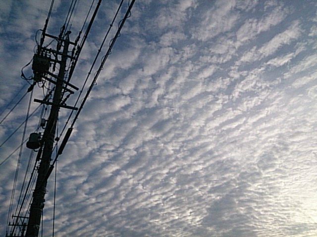 f:id:sarapan2014:20170626151537j:plain f:id:sarapan2014:20170626151537j:plain