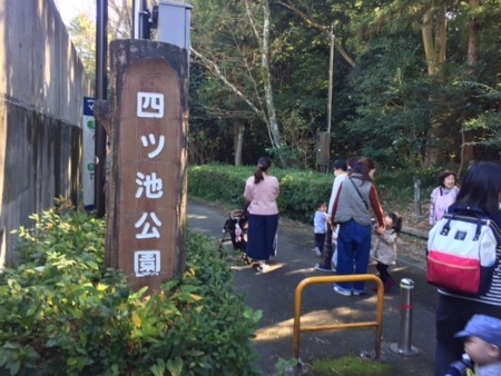f:id:sarasa123:20171109102511j:image f:id:sarasa123:20171109102511j:image