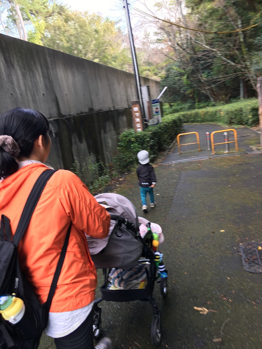 f:id:sarasa123:20191114103532j:plain f:id:sarasa123:20191114103532j:plain
