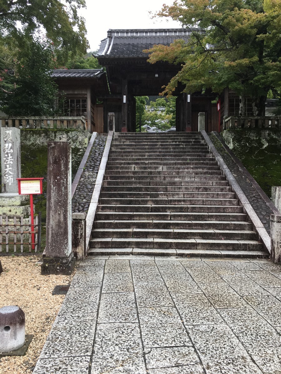 f:id:sarasa123:20200926144321j:plain f:id:sarasa123:20200926144321j:plain