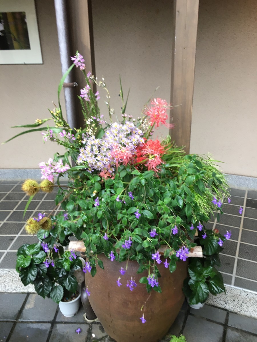 f:id:sarasa123:20200926150941j:plain f:id:sarasa123:20200926150941j:plain