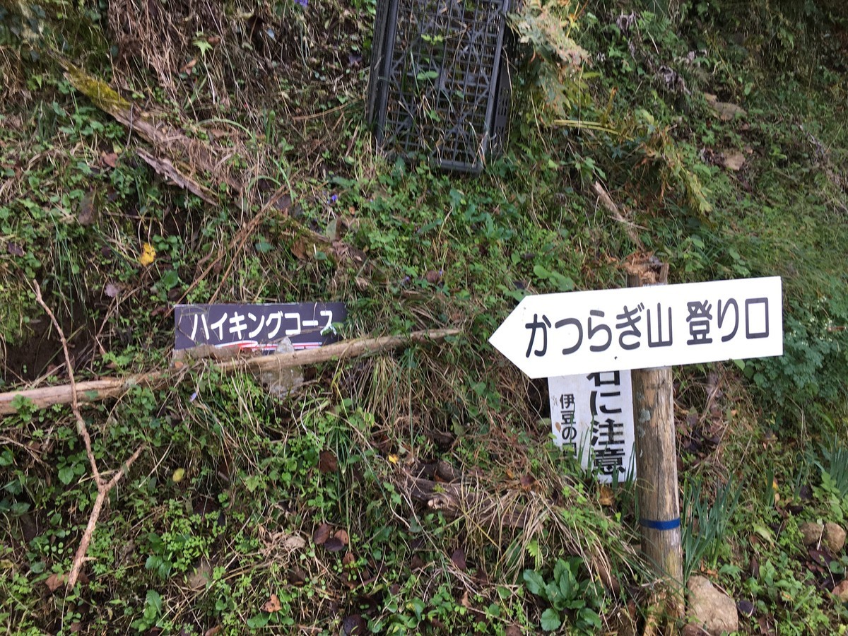 f:id:sarasa123:20201029121815j:plain f:id:sarasa123:20201029121815j:plain