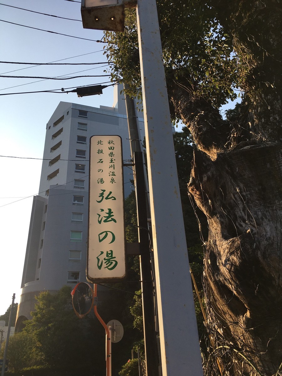 f:id:sarasa123:20201029153750j:plain f:id:sarasa123:20201029153750j:plain