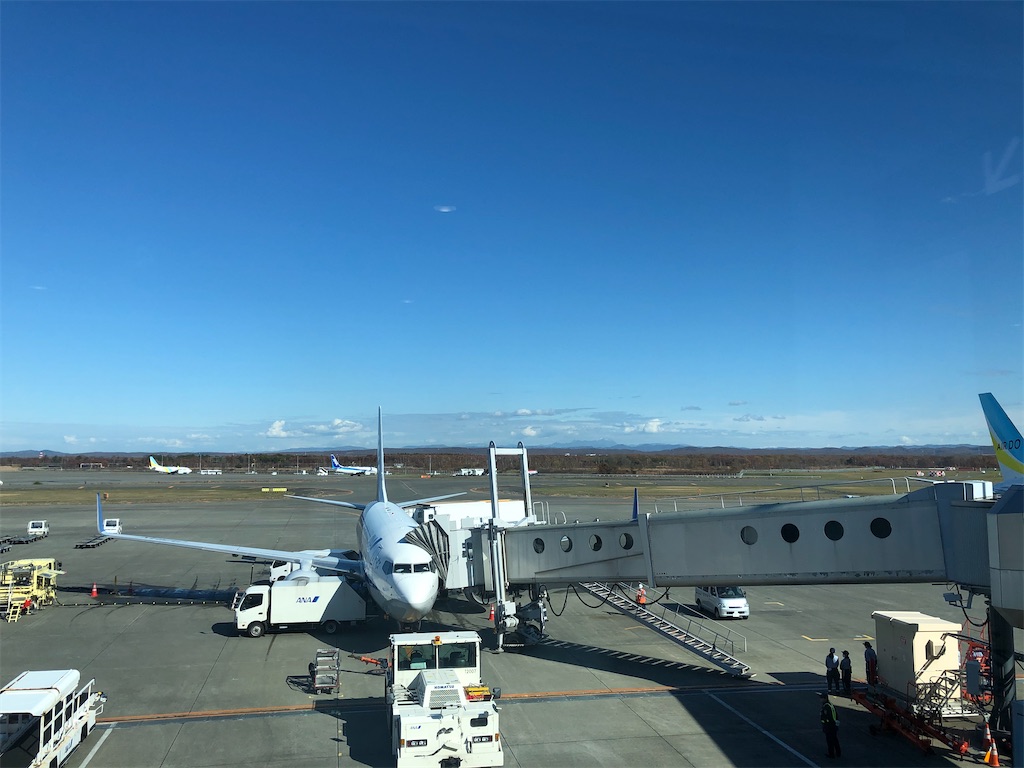 f:id:sarasasorbet:20201028115237j:plain:w500