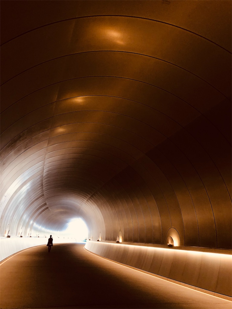 f:id:sarasasorbet:20201031203626j:plain:w300