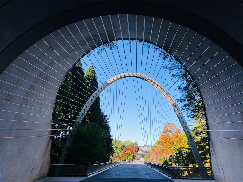 f:id:sarasasorbet:20201031203747j:plain:w500