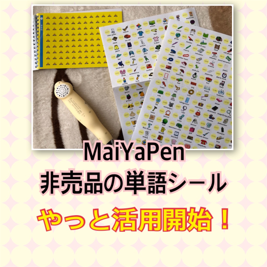 f:id:sarashizuki_dwe:20190425153042j:image