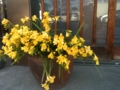 20120402161915