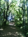 20120730114935