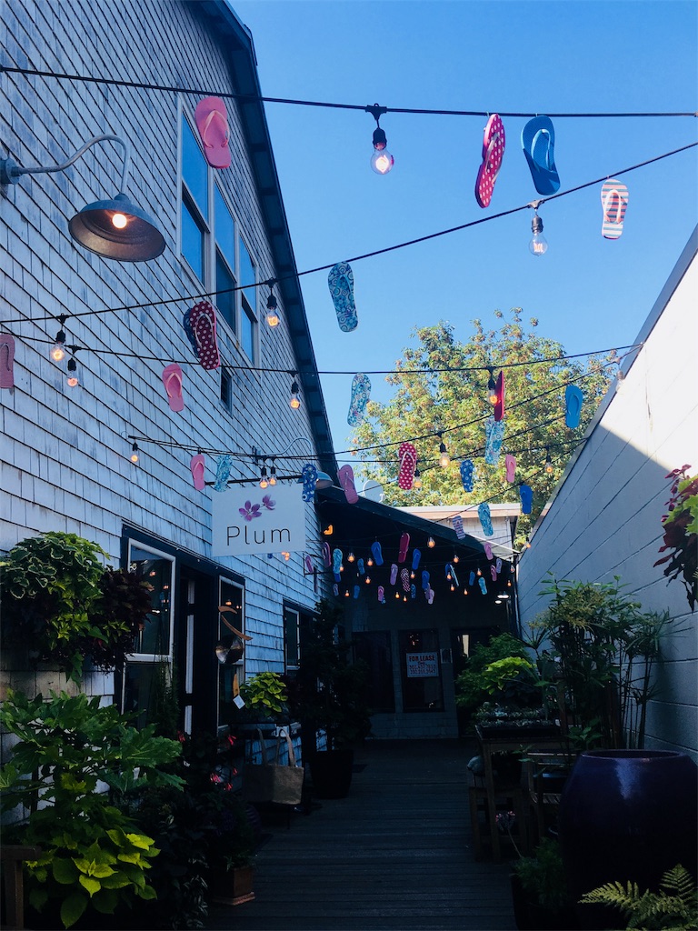 穴場 港町シアトルピアとベインブリッジ島 さらわか海外ライフ