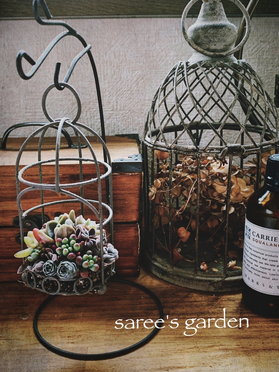 f:id:sarees:20190401203519j:plain