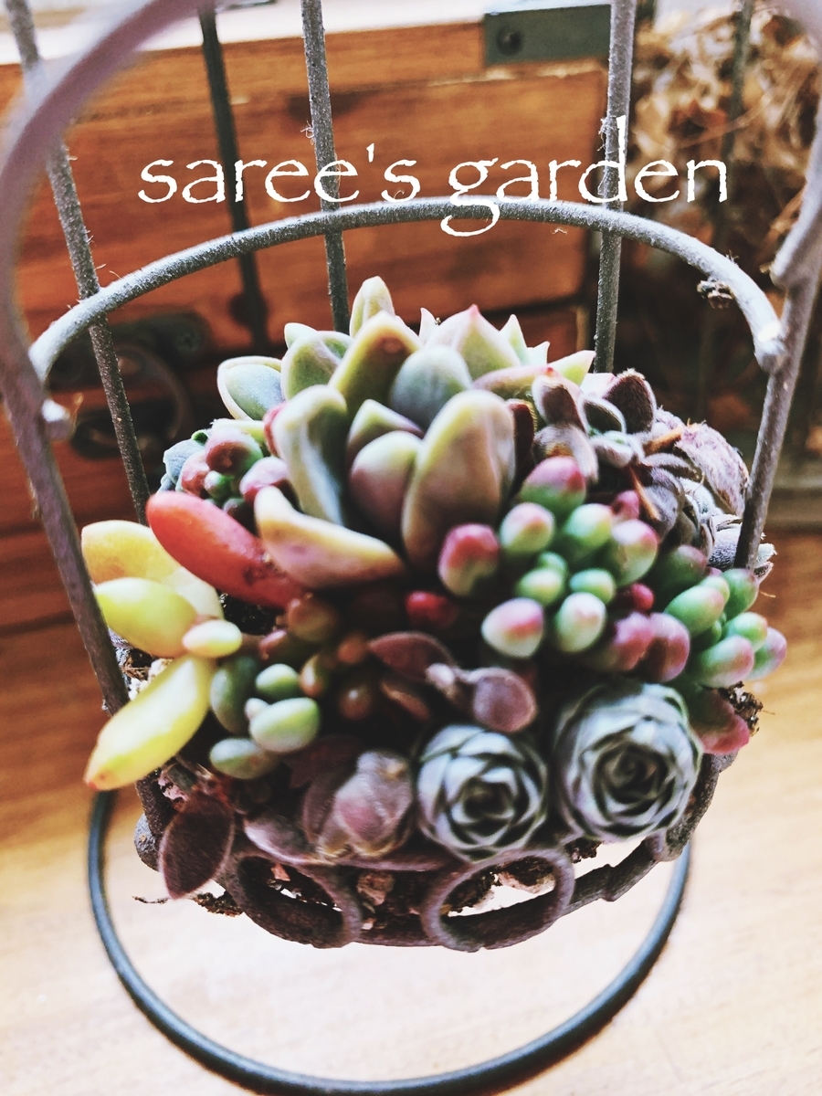 f:id:sarees:20190401203644j:plain