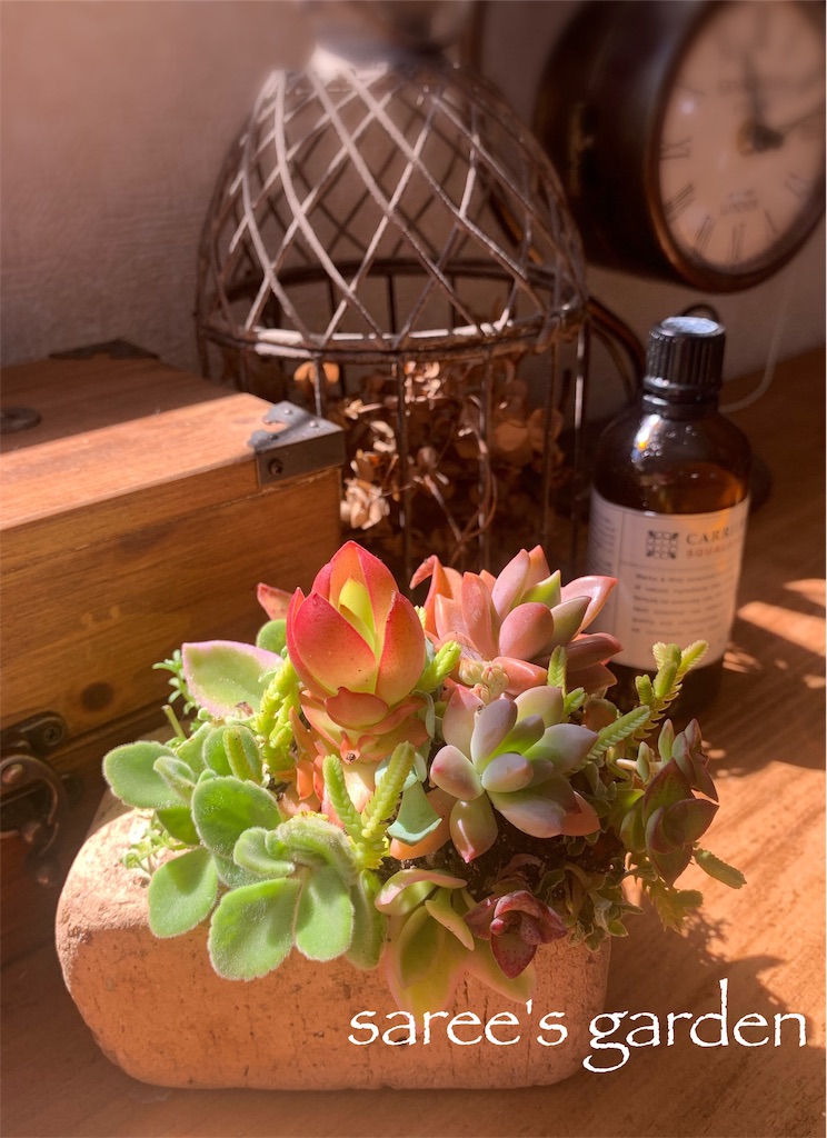 f:id:sarees:20190403151448j:image