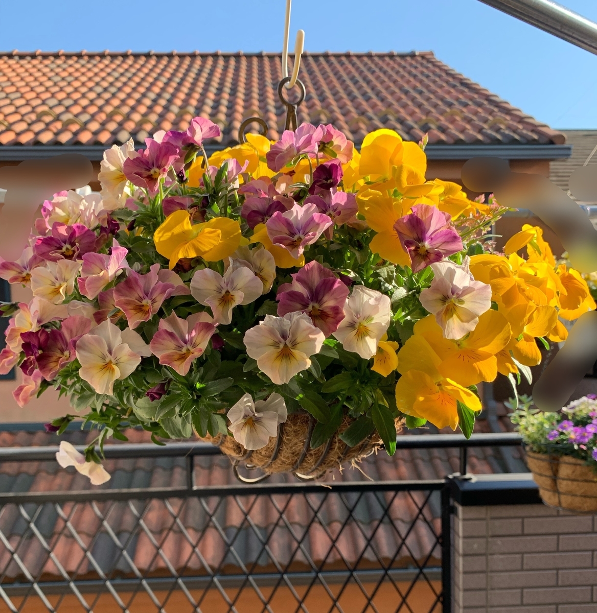 f:id:sarees:20190404203747j:plain