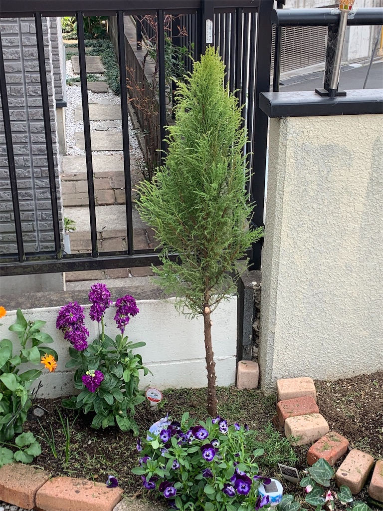 f:id:sarees:20190407230603j:image