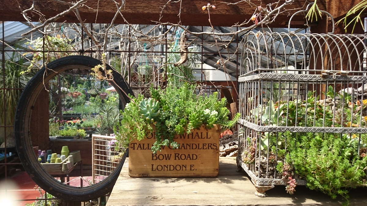 f:id:sarees:20190408130350j:plain