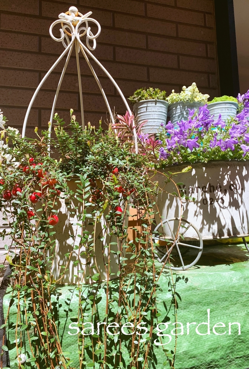 f:id:sarees:20190411171230j:plain