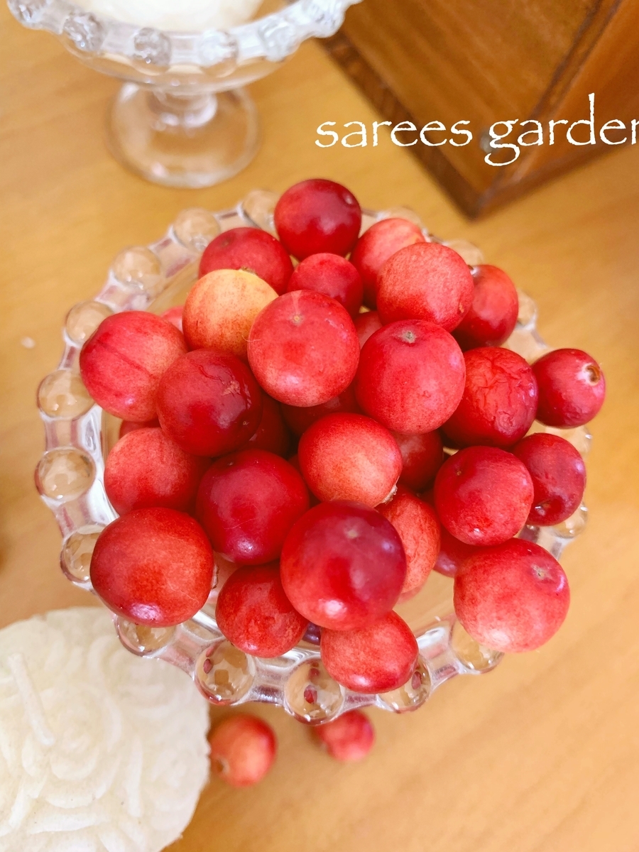 f:id:sarees:20190411171300j:plain