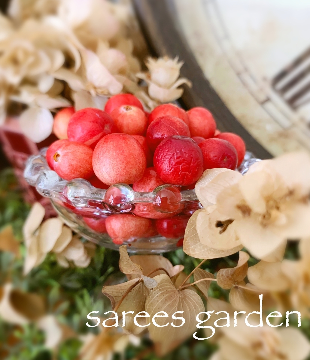 f:id:sarees:20190411171323j:plain