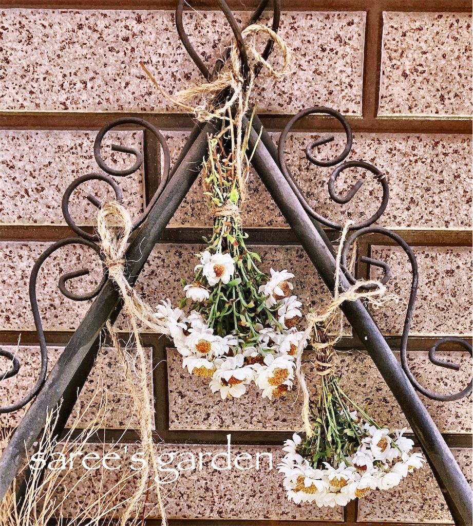 f:id:sarees:20190413161547j:image