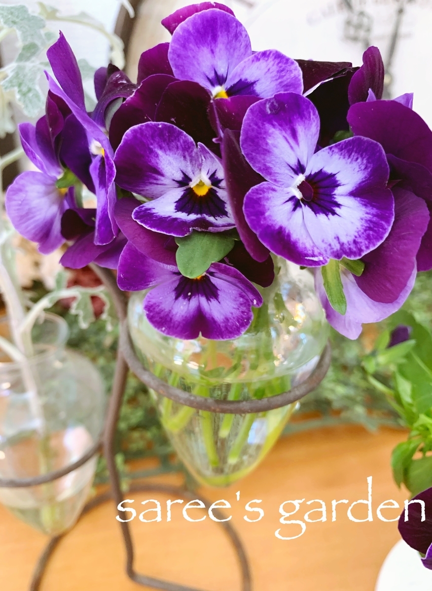 f:id:sarees:20190417171142j:plain