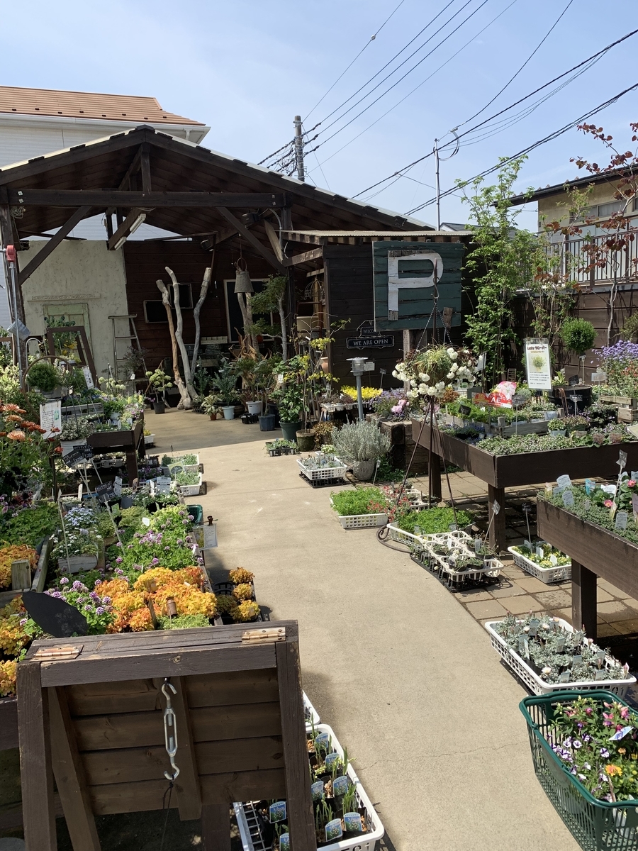 f:id:sarees:20190424082207j:plain