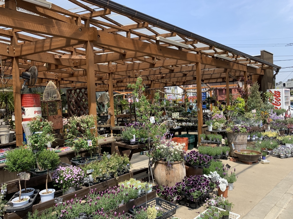 f:id:sarees:20190424082339j:plain