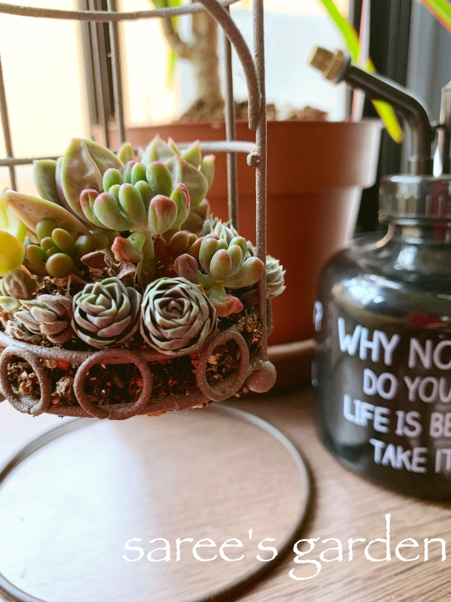 f:id:sarees:20190424084229j:plain